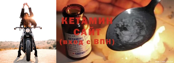 индика Ельня