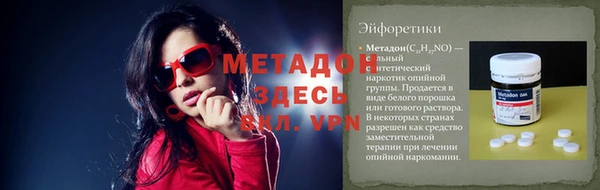 индика Ельня