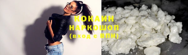 индика Ельня