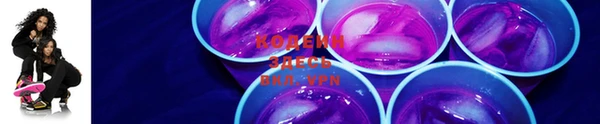 индика Ельня
