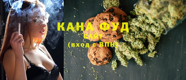 индика Ельня