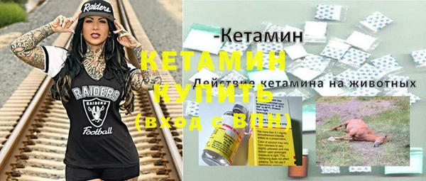 индика Ельня
