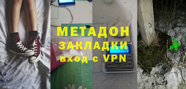 индика Ельня