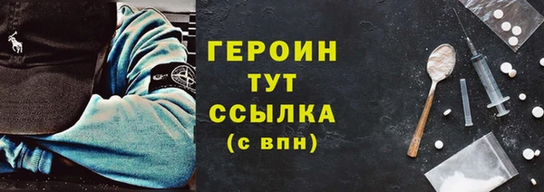 индика Ельня