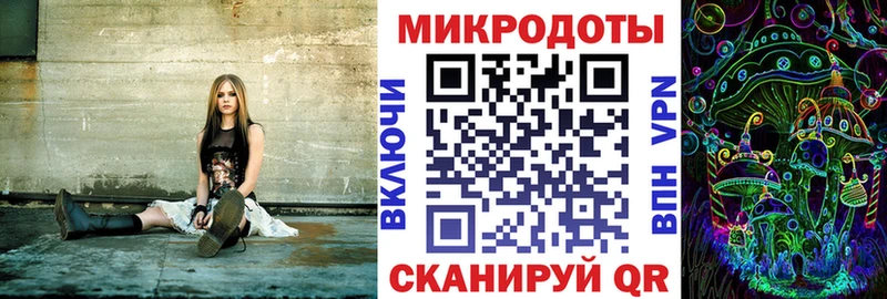 omg ТОР  Бердск  Псилоцибиновые грибы Psilocybine cubensis 